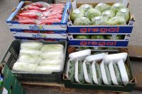 Zaopatrzenie - warzywa